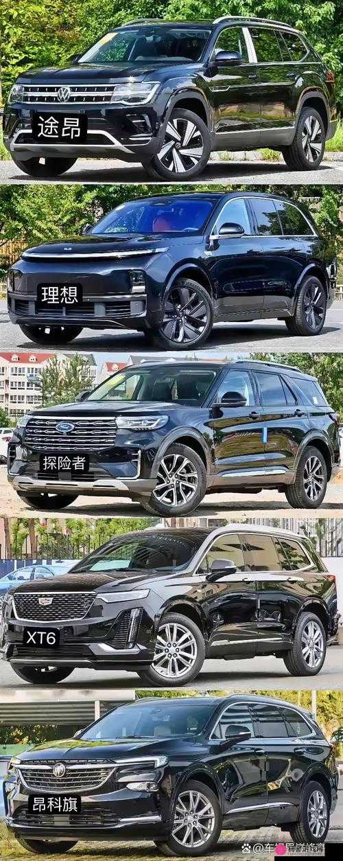 国产 SUV 在欧洲的热门之选：其市场竞争力及受欢迎原因解析